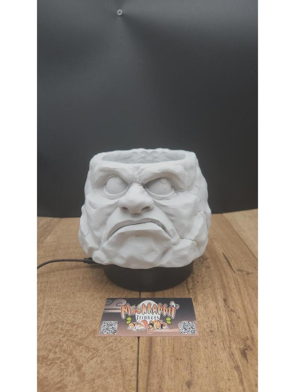 Grumpy Stone Gardening Pot - Funny Indoor Plant Decoration - Flower Pot Gift